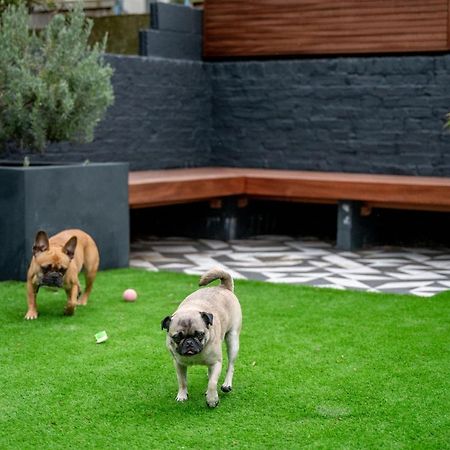 Doghouse Margate Bed & Breakfast Dış mekan fotoğraf