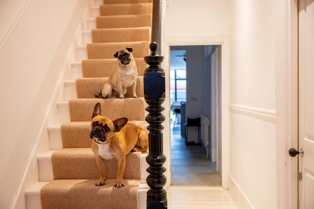 Doghouse Margate Bed & Breakfast Dış mekan fotoğraf